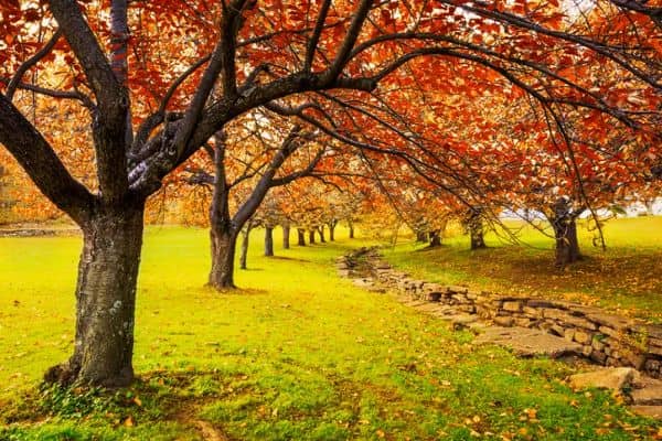 Hurd Park - Image 2