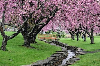 Hurd Park - Image 3