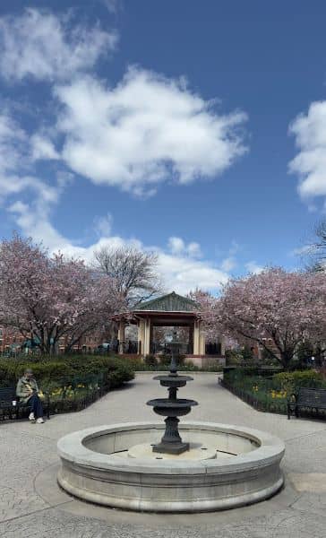Gazebo - Image 5