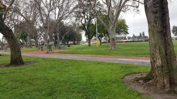 Pico Park - Image 3