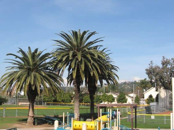 The Children's Museum at La Habra - Image 2