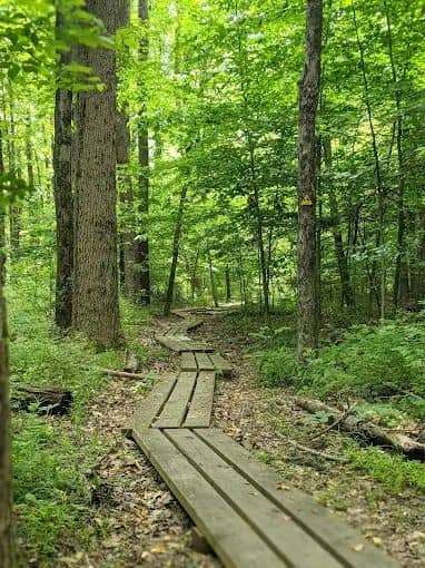 Sourland Ecosystem Preserve - Image 1