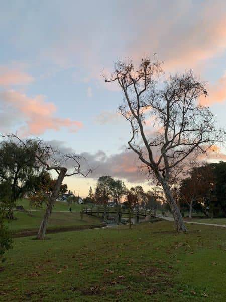 La Mirada Creek Park - Image 4
