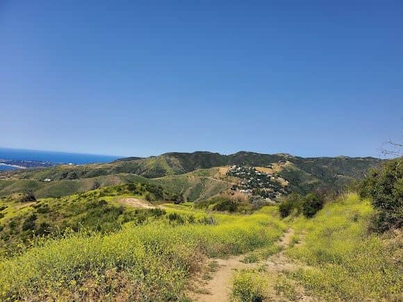 Cameron Nature Preserve at Puerco Canyon - Image 3