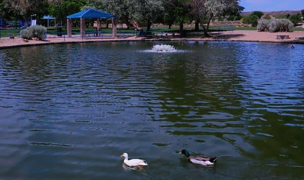Mariposa Park - Image 4