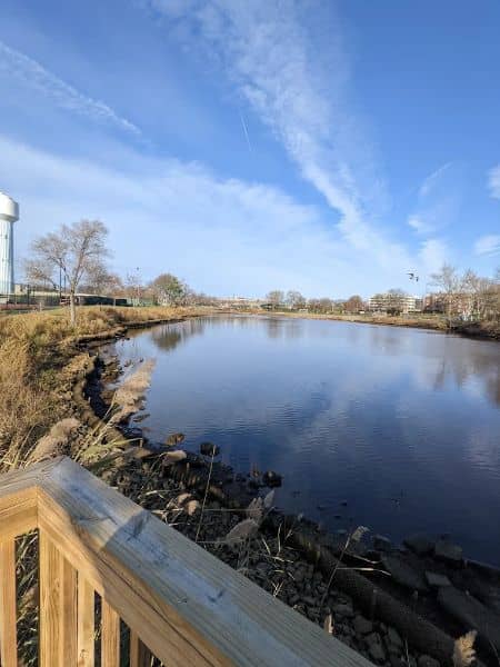Mill River Complex Park - Image 1
