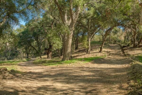 Whitney Canyon Park - Image 5
