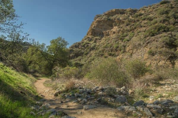 Whitney Canyon Park - Image 4