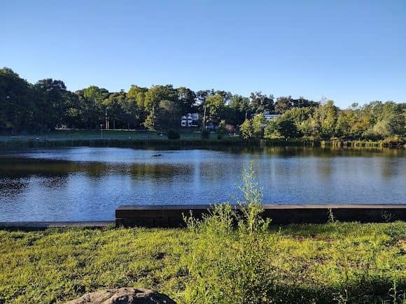 Leonard Park - Image 2