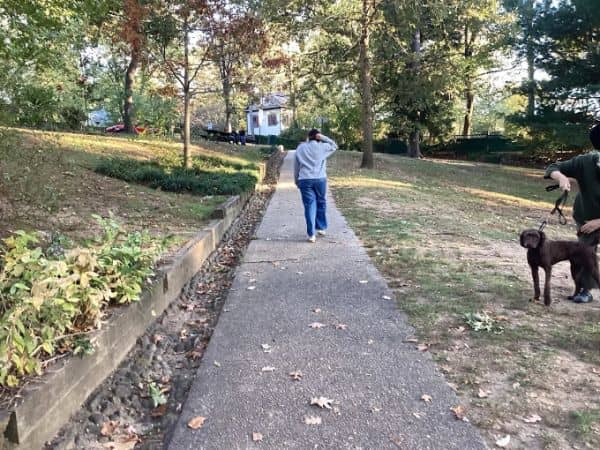 Central Park - Image 2