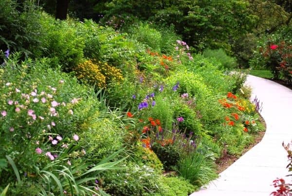 Reeves-Reed Arboretum - Image 4