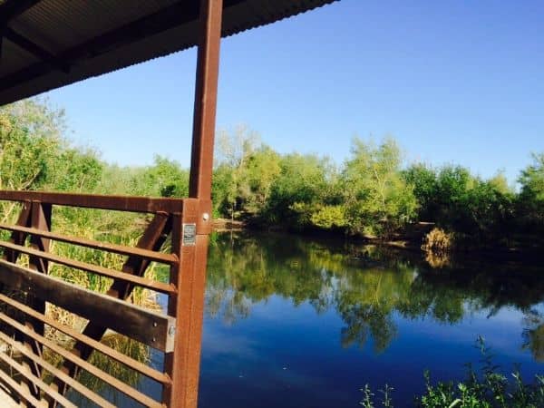 Chino Creek Wetlands and Educational Park - Image 5