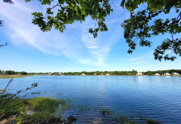Marshlands Conservancy - Image 3