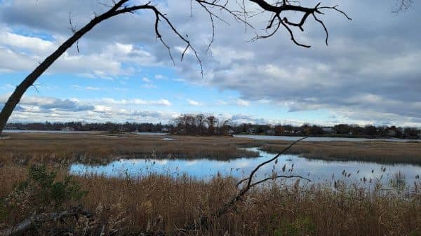 Marshlands Conservancy - Image 1