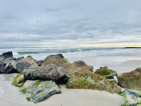Ocean Beach Park - Image 3