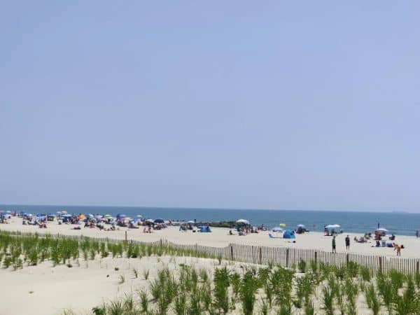 Ocean Beach Park - Image 4