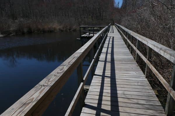 Shu Swamp Nature Preserve - Image 3