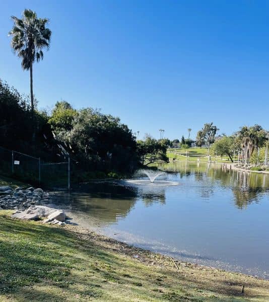 Polliwog Park - Image 4