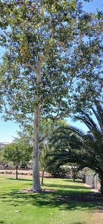 Parmenter Park - Image 2