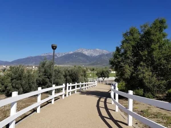 Olive Grove Park - Image 3