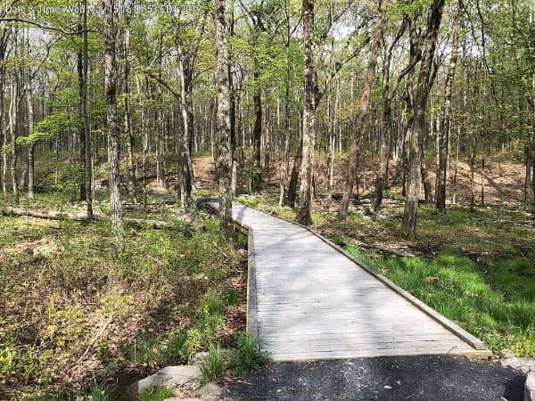 Cornelia & Florence Bridge Nature Preserve - Image 3