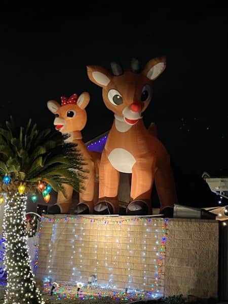 Chino Christmas Lights - Image 3