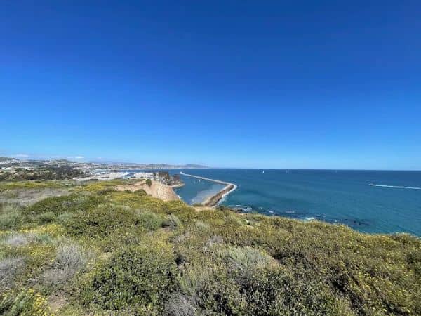 Dana Point Lookout - Image 3
