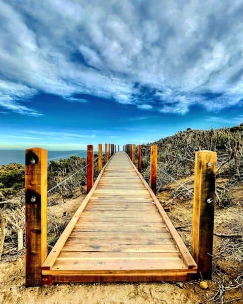 Point Dume Boardwalk - Image 4