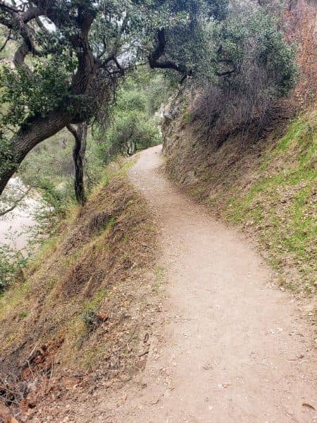 Monrovia Canyon Park - Image 2