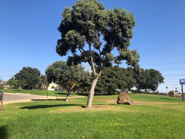 Dominguez Park - Image 1