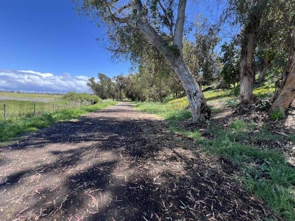 Gum Grove Park - Image 3