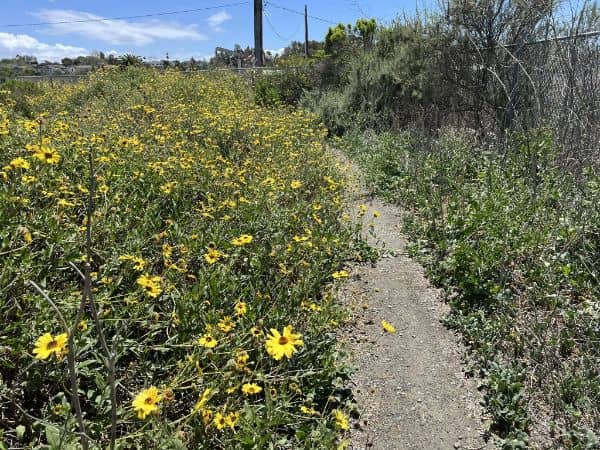 Gum Grove Park - Image 5