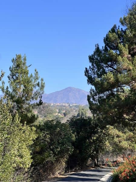 Jeronimo Open Space - Image 3