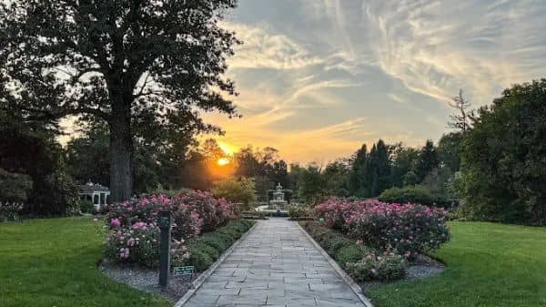 Colonial Park Gardens - Image 5