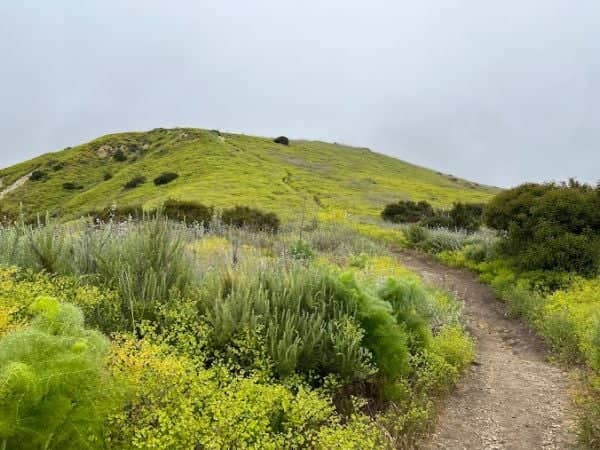 Sara Wan Trailhead at Corral Canyon - Image 1