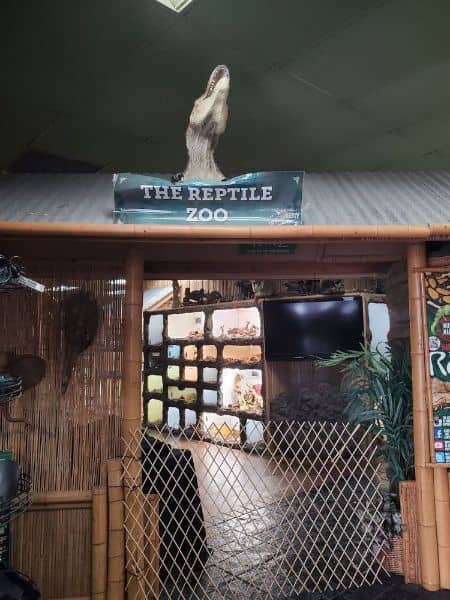 The Reptile Zoo - Image 5