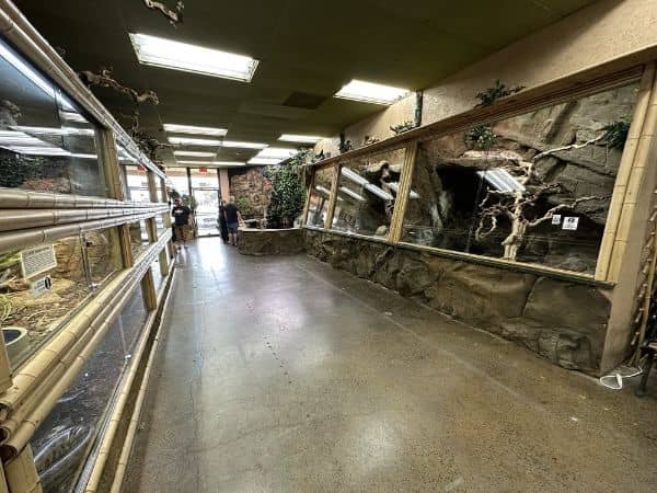 The Reptile Zoo - Image 2