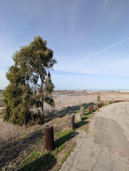 Gum Grove Nature Park - Image 2