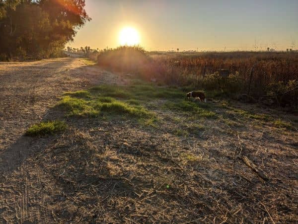 Gum Grove Nature Park - Image 5