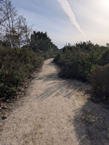 Gum Grove Nature Park - Image 1