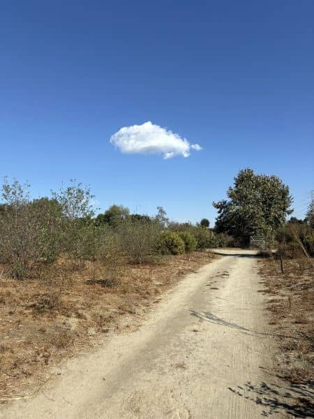 Whittier Narrows Natural Area - Image 4