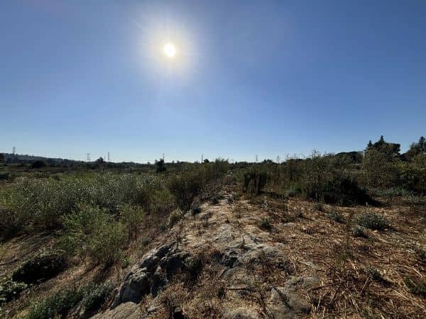 Whittier Narrows Natural Area - Image 3