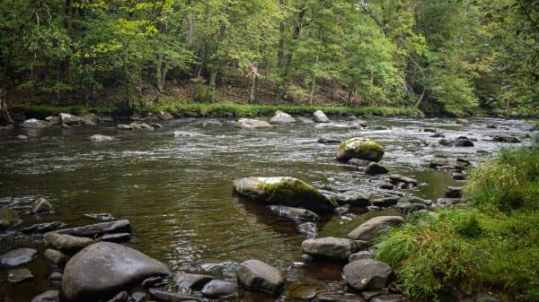 Mongaup River Trail - Image 2