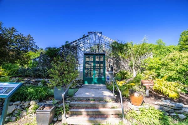 Bartlett Arboretum & Gardens - Image 2