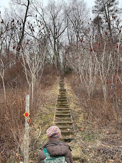 Ives Trail - Image 5