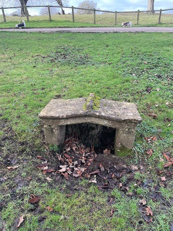 Lady’s Well - Image 2