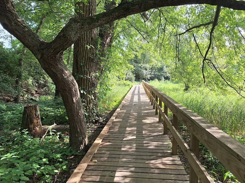 Killbuck Wetlands - Image 3