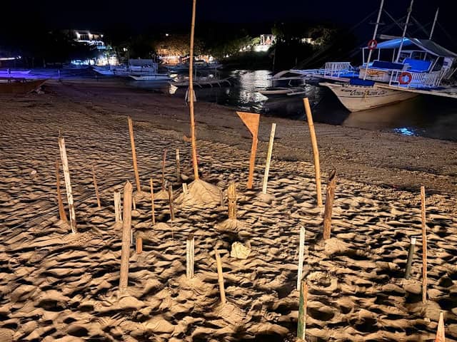 Puffer fish memorial - Image 1