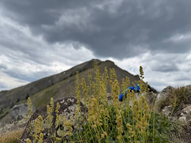 Peak One - Image 2