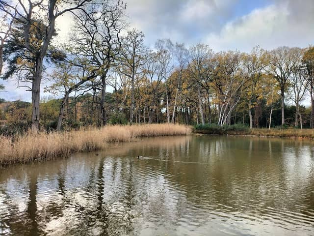 Park - Image 2